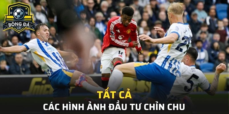 Tất cả các hình ảnh đầu tư chỉnh chu