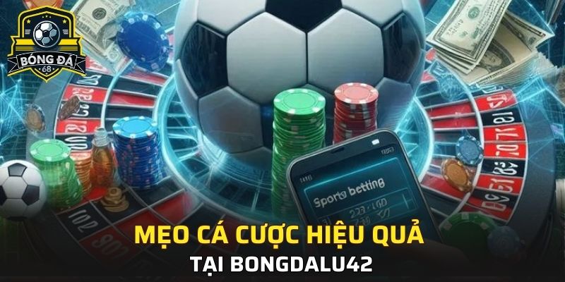 Mẹo cá cược hiệu quả với Bongdalu42