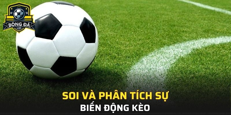Phân tích và những biến động lớn ở kèo cược
